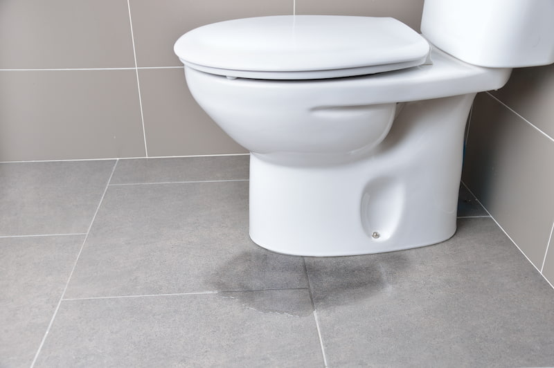 When to Call a Professional for Toilet Repairs: Signs You Can't Ignore